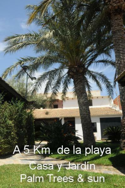 Sun & Palm Trees 民宿 Balsares